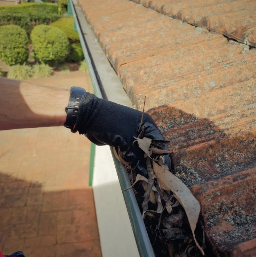 Gutter Cleaning