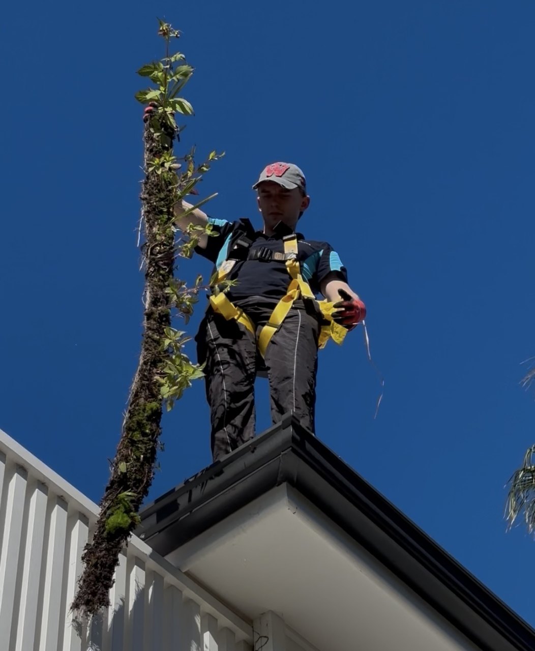 Gutter Cleaning